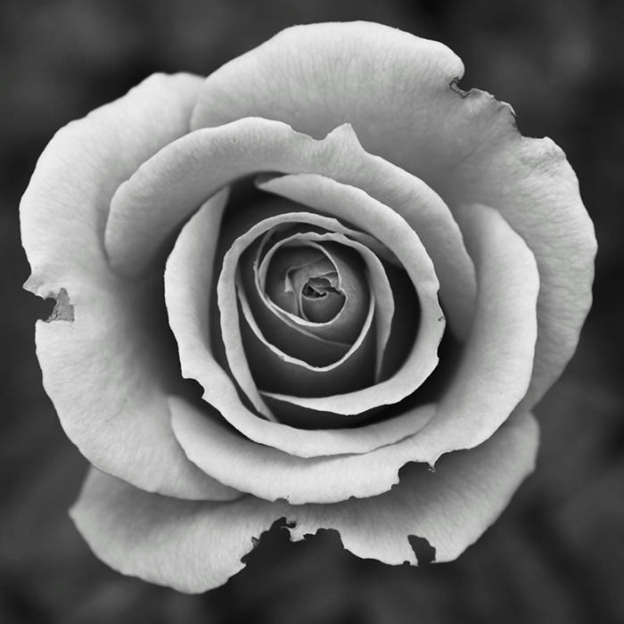 portfolio1
