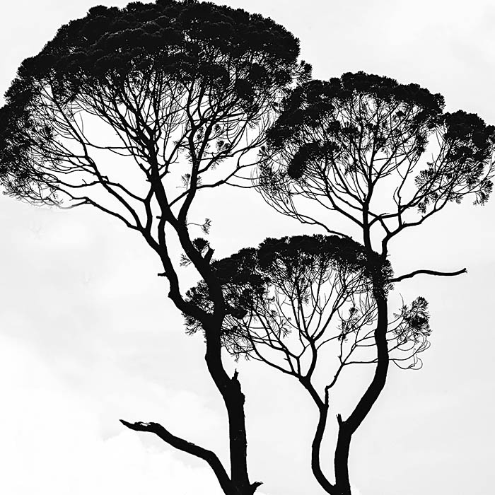 portfolio4