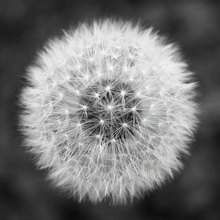 portfolio7